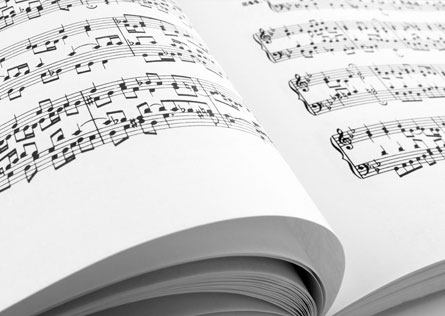 Ʈ���� ȣ����